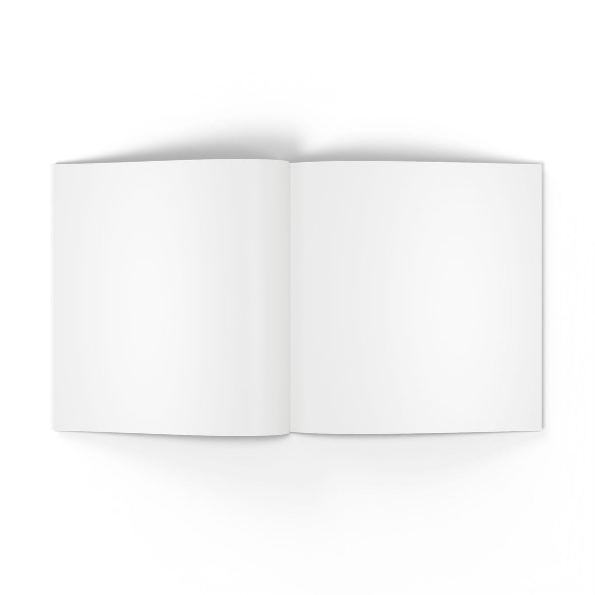 222spicy Photoe BOOK
